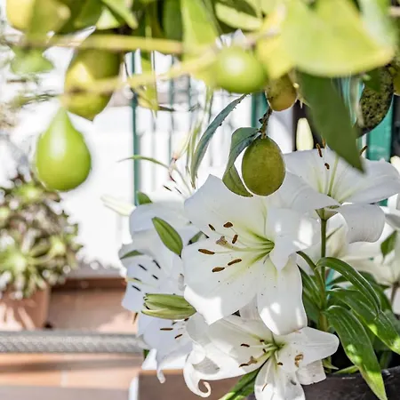 Exclusive Vintage Serenade In Aldea Blanca - Walking Distance To Centro Plaza Apartment Marbella